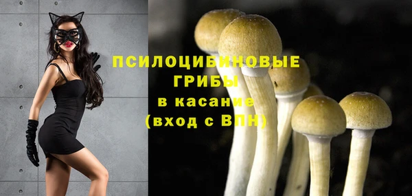 кокаин колумбия Краснослободск