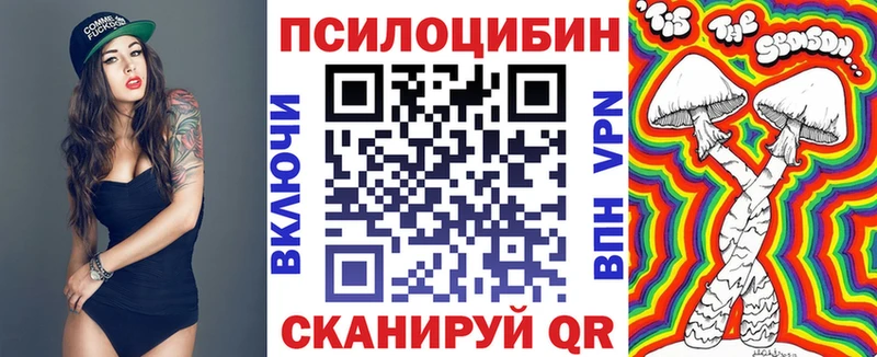 Псилоцибиновые грибы GOLDEN TEACHER  Купить закладки  Осташков 